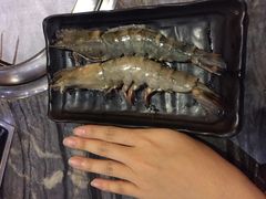 -熊出没日本烧肉放题