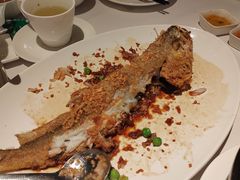 -粤财皇冠假日酒店·彩华轩中餐厅