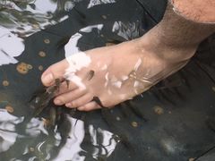 -三亚珠江南田温泉度假区