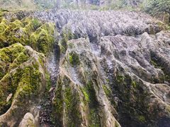 -梭布垭石林景区