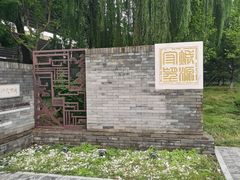 -莲花池公园