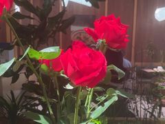 -一坐一忘云南菜(卓悦中心)