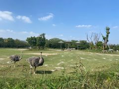 -宁波野生动物园