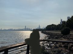 -深圳湾公园(南山区)