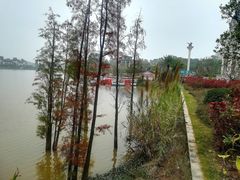 -美的鹭湖森林度假区