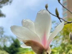 -晓港公园
