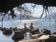 -西昌邛海湿地