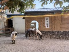 -HERRE·FARM 赫尔露营农场·团建聚会包场