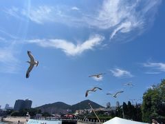 -黑石礁公园