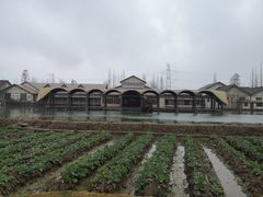 -乌村