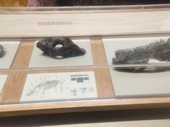 -舟山博物馆