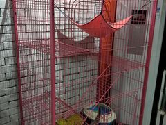 -佳百利宠物(荣乐中路115弄小区店)