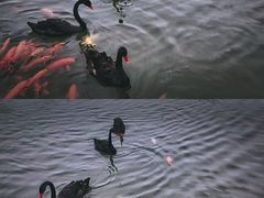 -春晖园度假酒店温泉