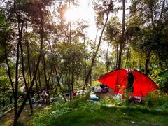 -铁山坪森林公园