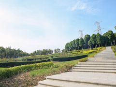 -水百合·园林餐厅(东区店)