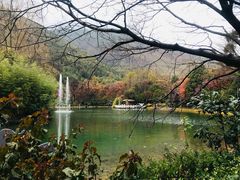 -蝴蝶泉公园