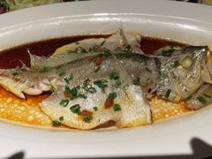-维园悦谱·海派家常菜(乌鲁木齐南路店)