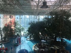 -皇家园林酒店
