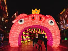 -郑州方特梦幻王国