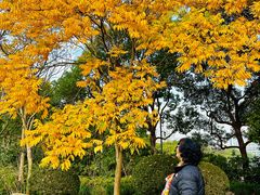 -上海科技馆(地铁站)