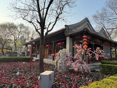 -白家大院·王府宫廷菜(苏州街店)