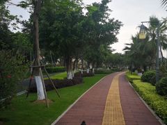 -五缘湾湿地公园