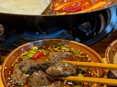 -阳阳老火锅(小南门店)