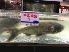 -森谷美食公园(杨行店)