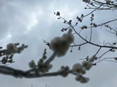 -无锡梅园公园