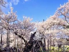 -学习谷日语培训日本留学·多语种外语教学(西单宣武分部)