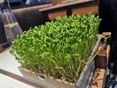 活体有机豆苗-捞神煲汤火锅(湖滨商业街店)