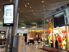-戴高乐机场免税店(BuY PARIS DUTY FREE)