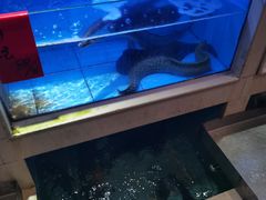 -老蒲田·渔乡楼