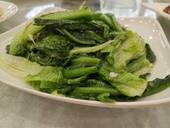 -姚林轩