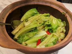 啫啫生菜煲-陶陶居酒家(海岸城店)