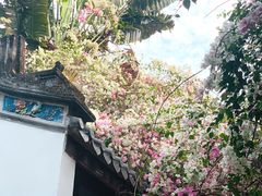 -深圳国际园林花卉博览园