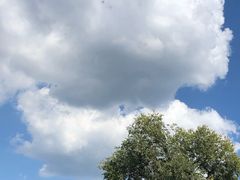 -高玛纳驴肉火烧(河间总店)