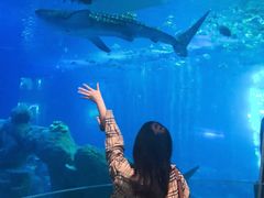 -成都浩海立方海洋公园