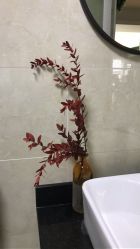 点击看大图 -皇室米澜摄影工作室(宝安店)