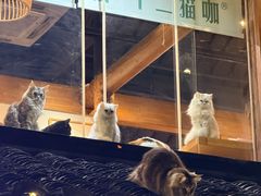 -不晚酒店(苏州观前平江路店)