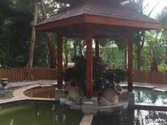 四味养生池-碧水湾温泉