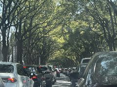 -水上明月·湖景餐厅