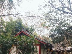 -望江楼公园