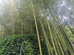 -竹泉村旅游度假区