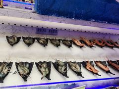-澜悦港海鲜体验主题餐厅