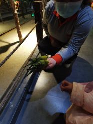 -酷嗒动物文化乐园(cutezoo西溪乐天城店)