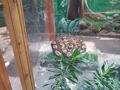 -上海大自然野生昆虫馆