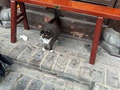 -长春观