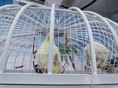 -石家庄海洋公园