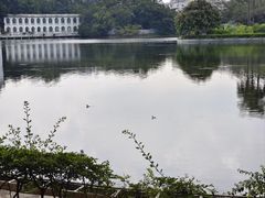 -荔湾湖公园